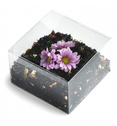 Cutii plastic transparente (set 50...