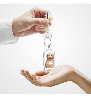 Breloc dreptunghiular transparent...