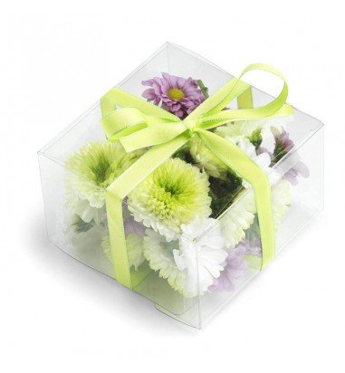 Cutii plastic transparente (set 50...