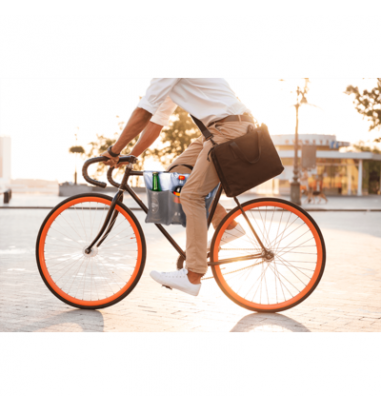 Geanta frigorifica pentru bicileta