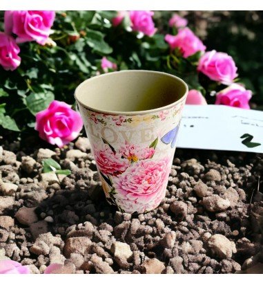 Ghiveci rotund din plastic model...