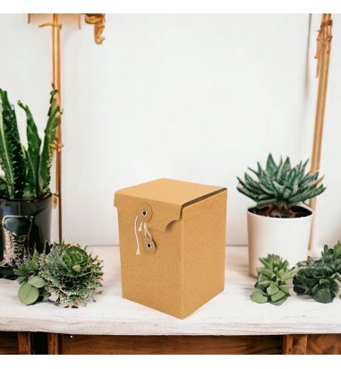 Cutie cu sigiliu din sfoară - kraft...