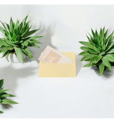 Felicitări cu fereastră model floral...