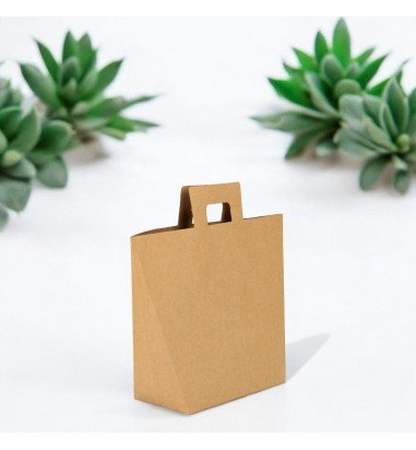 Pungă kraft cu mâner dreptunghiular...