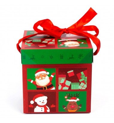 Cutie căni Crăciun cu capac și fundă...