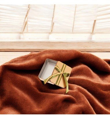 Cutie metalică aurie dreptunghiulară...