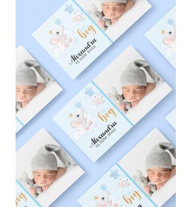 Marturie botez magnetica elefantei