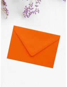Plic portocaliu C6