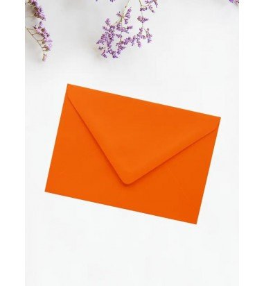 Plic portocaliu C6