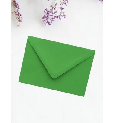 Plic verde I8