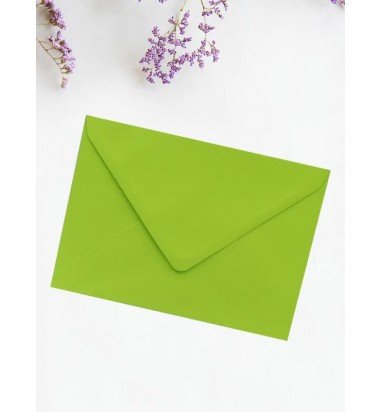 Plic verde fistic I8