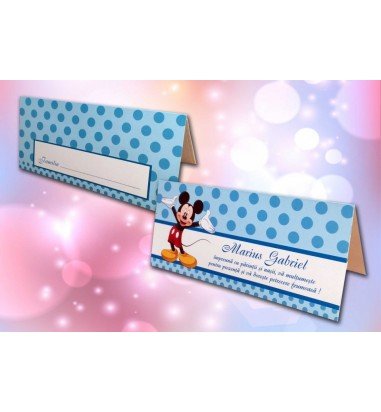 Plic de bani Mickey 109