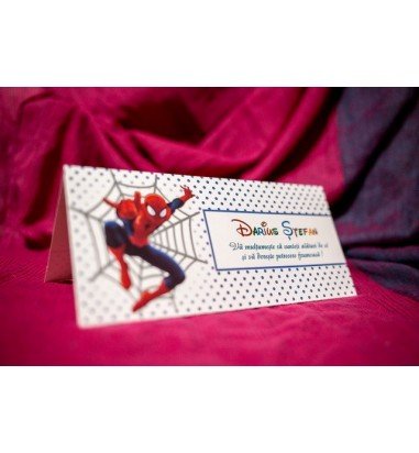 Plic de bani Spider-Man 145