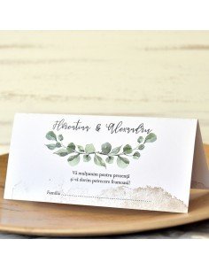 Plic de bani nunta 5771