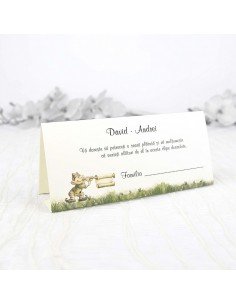 Plic de bani botez 7110