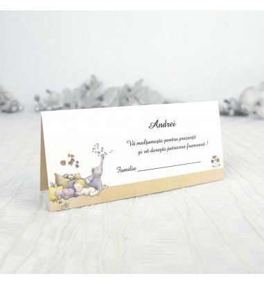 Plic de bani botez 7103