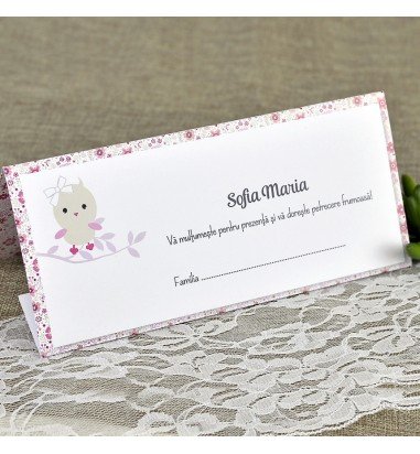 Plic de bani botez 7613