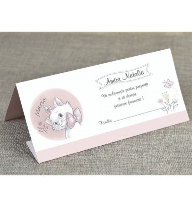 Plic de bani botez 5726