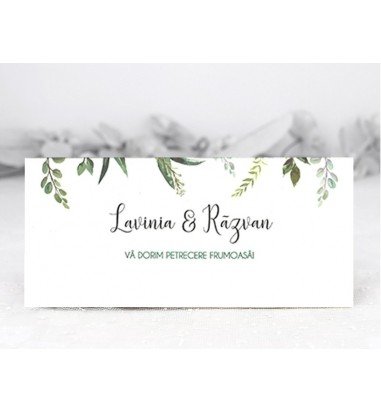 Plic pentru bani nunta 5803