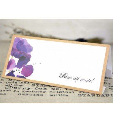 Plic pentru bani nunta 5635