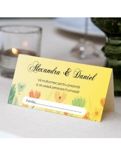 Plic pentru bani de nunta...