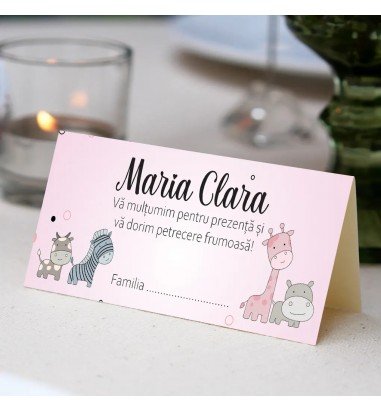 Plic pentru bani de botez animalute...