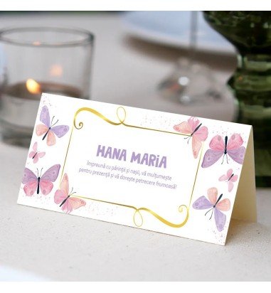 Plic pentru bani 90021