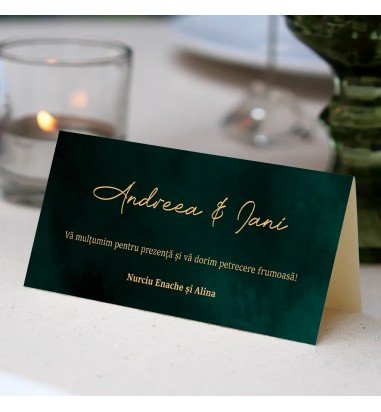 Plic pentru bani de nunta DEEP GREEN...