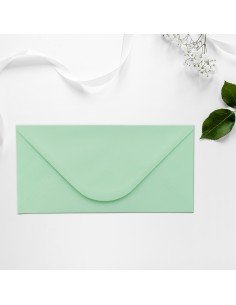 Plic DL Verde pastel 110 x...