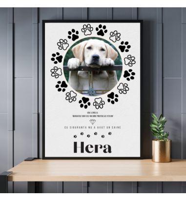 Rama foto Cel mai bun prieten