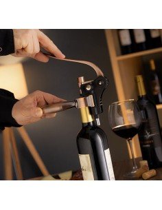 Set de Accesorii pentru Vin...