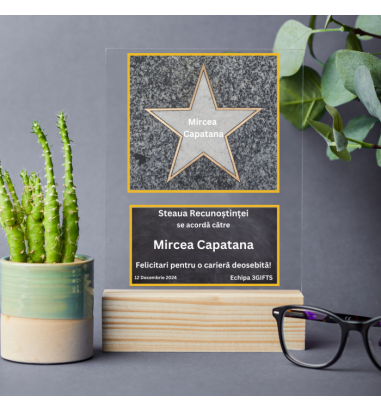 Placheta personalizata Steaua...