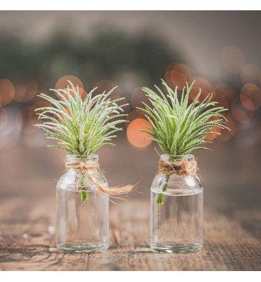 Sticluță transparentă reutilizabilă...